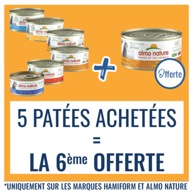 pate chat