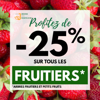 fruit 25