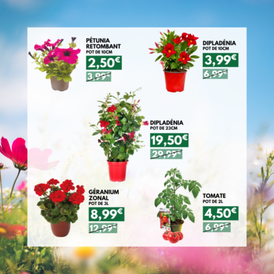 produit fleurs